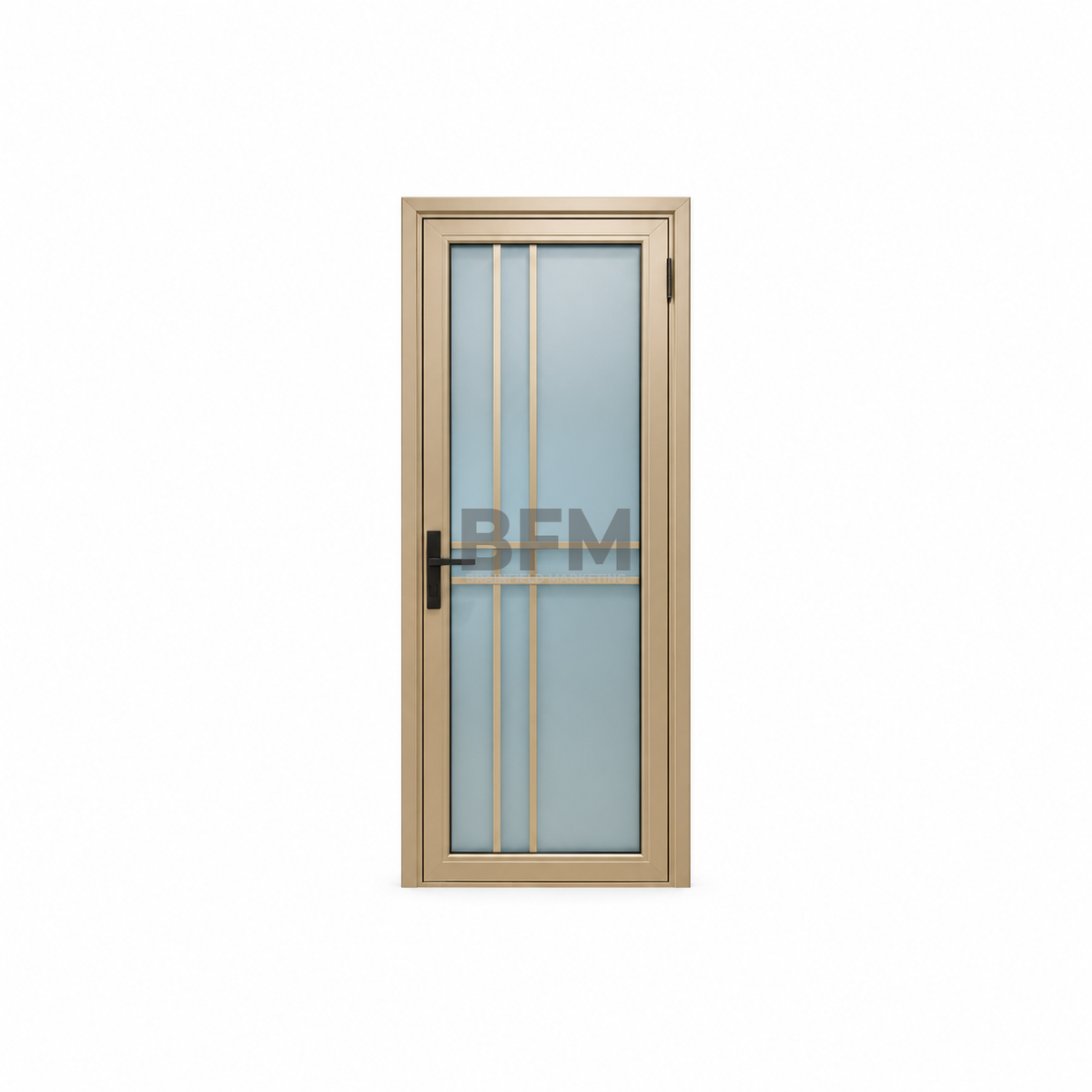 Bathroom Door Series