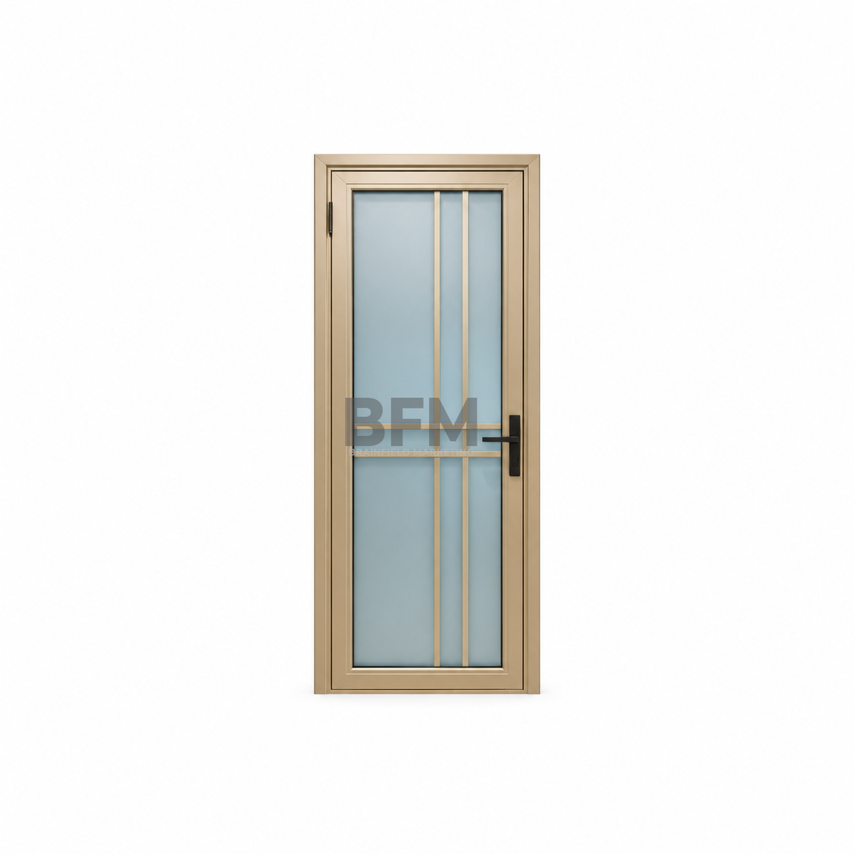 Bathroom Door Series