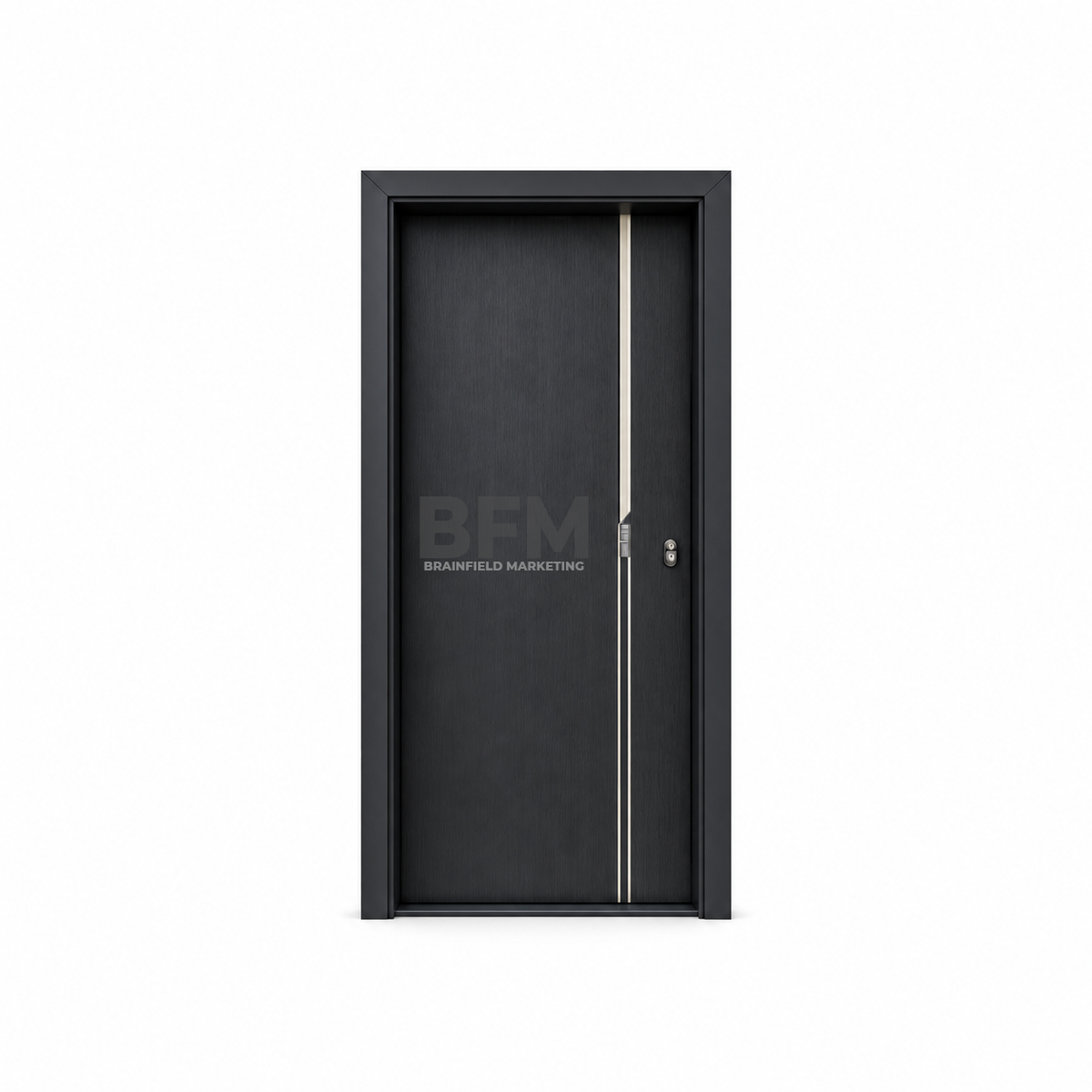 Zinc Alloy Modern Entrance Door Series